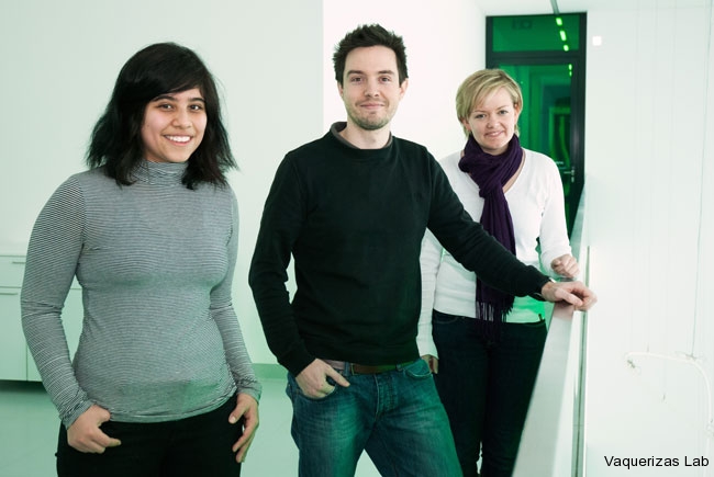Vaquerizas-lab-Jan13