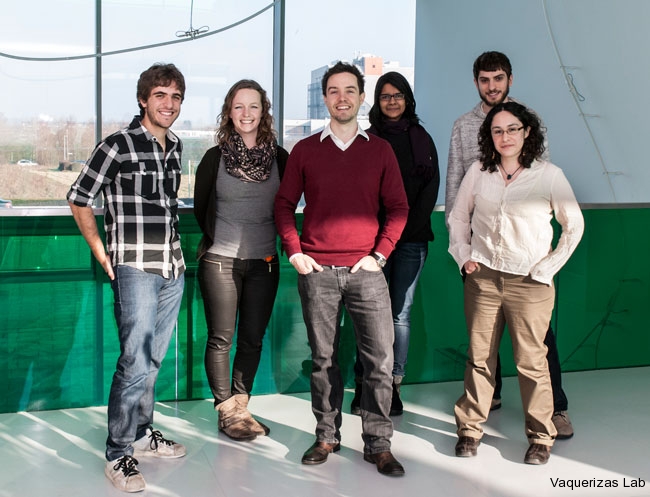 Vaquerizas-lab-Jan14
