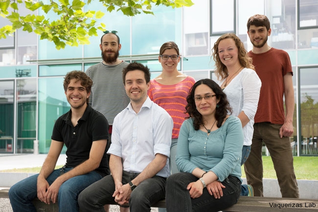 Vaquerizas-lab-Jun14